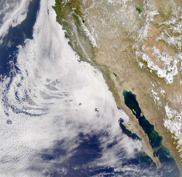 SeaWiFS: The Western United States and Mexico - related image preview