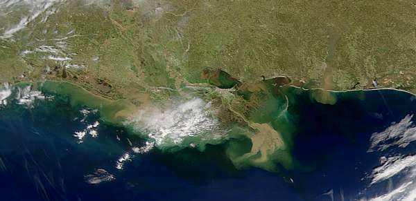 SeaWiFS:  Gulf Coast Sediments - related image preview