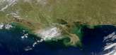 SeaWiFS:  Gulf Coast Sediments - selected image