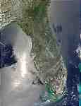Wildfires in Florida - selected image