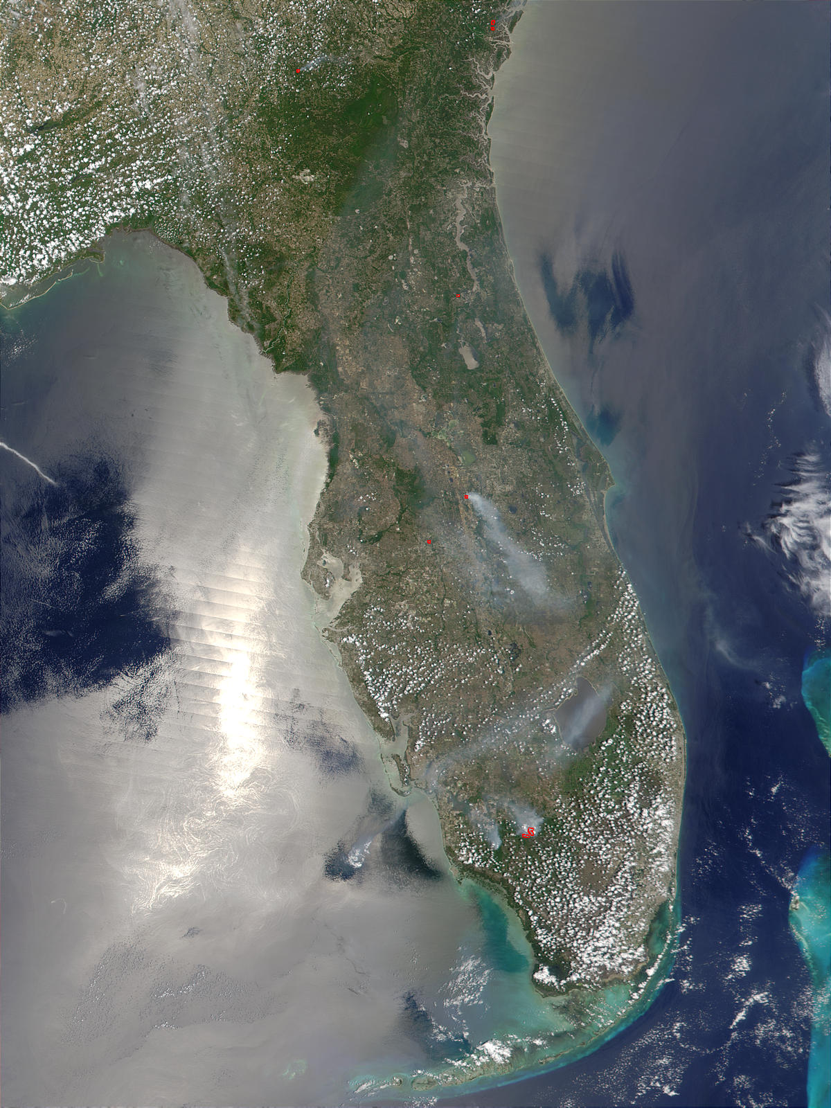 Wildfires in Florida - related image preview