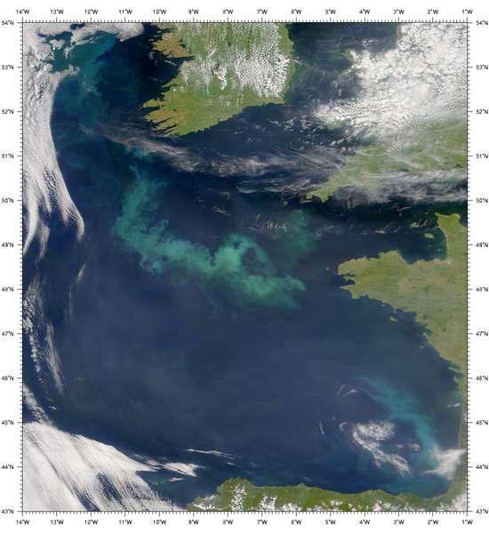 SeaWiFS: Phytoplankton Bloom in the Celtic Sea - related image preview