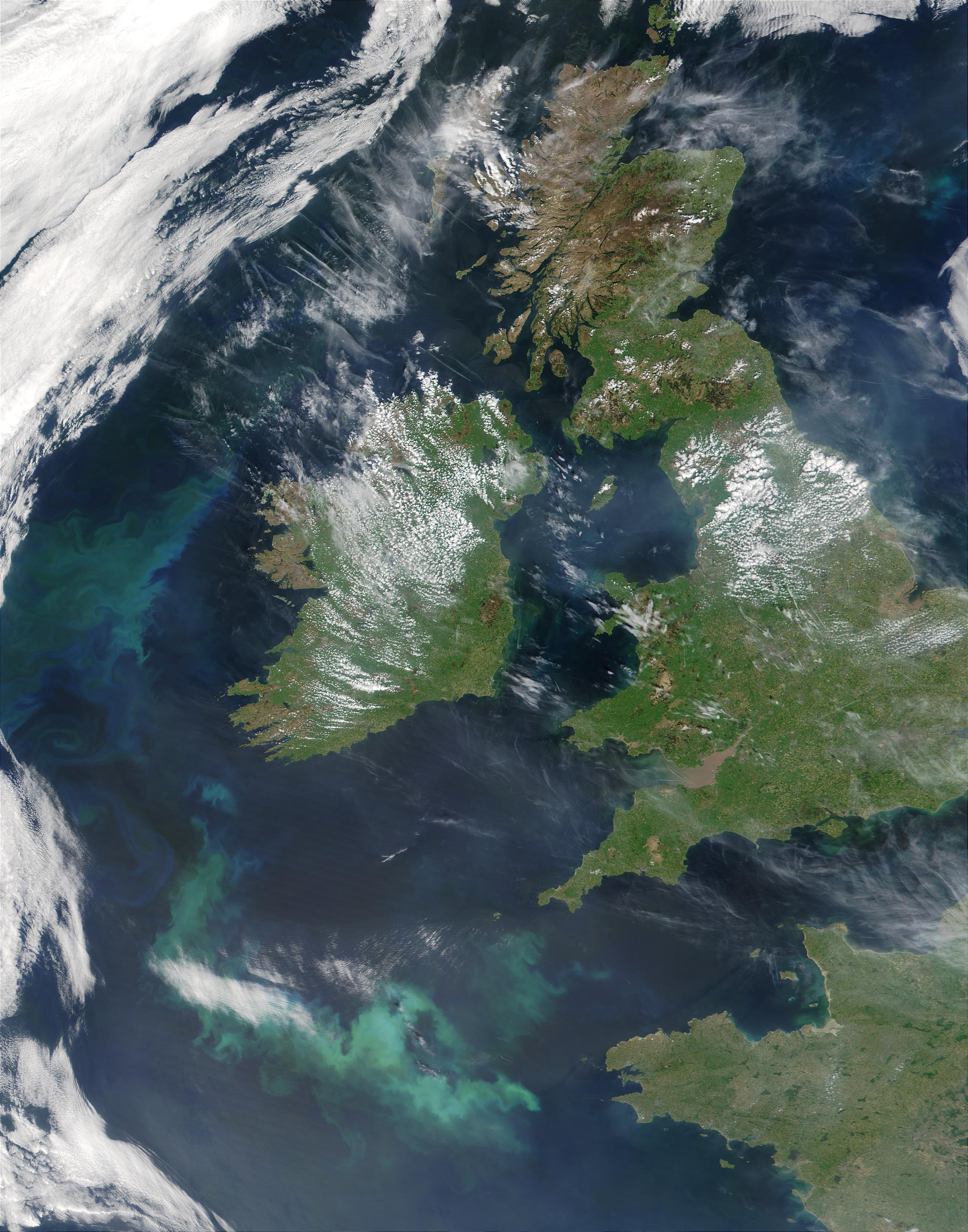 Phytoplankton bloom west and south of Ireland - related image preview