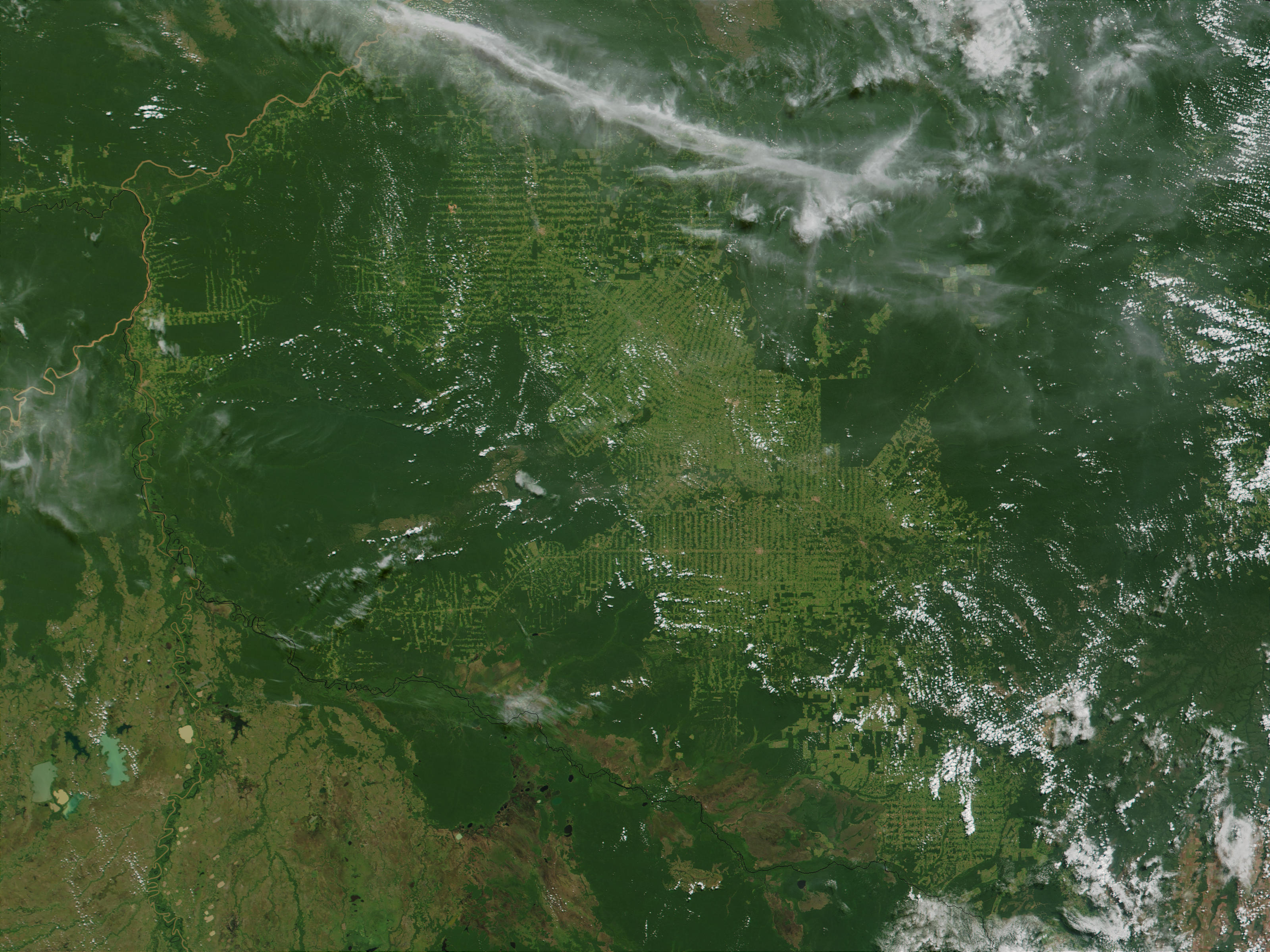 Deforestation in Rondonia, Brazil - related image preview