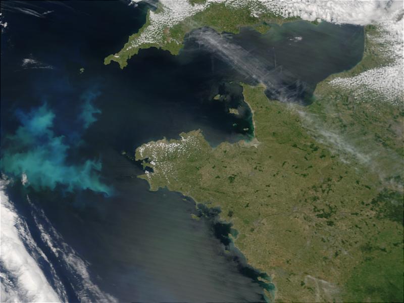 Phytoplankton bloom off the coast of Brittany, France - related image preview