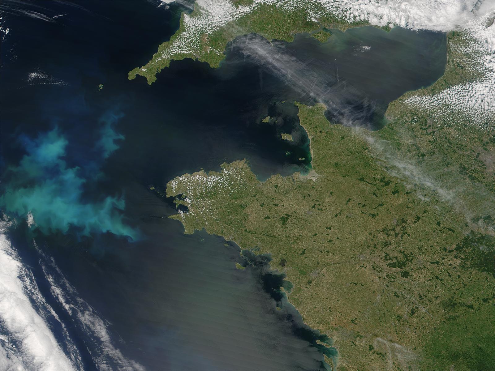 Phytoplankton bloom off the coast of Brittany, France - related image preview