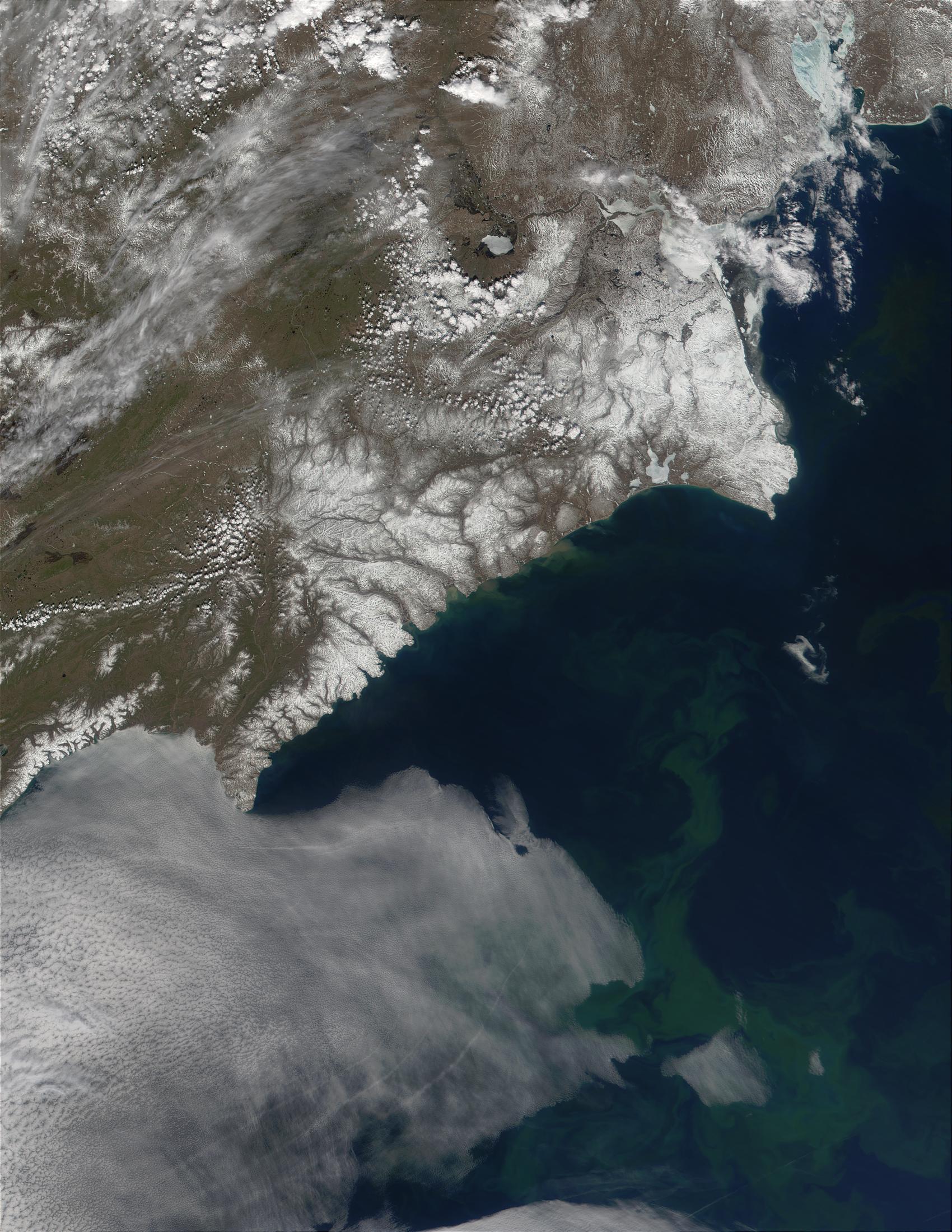 Phytoplankton bloom in Bering Sea, Russia - related image preview