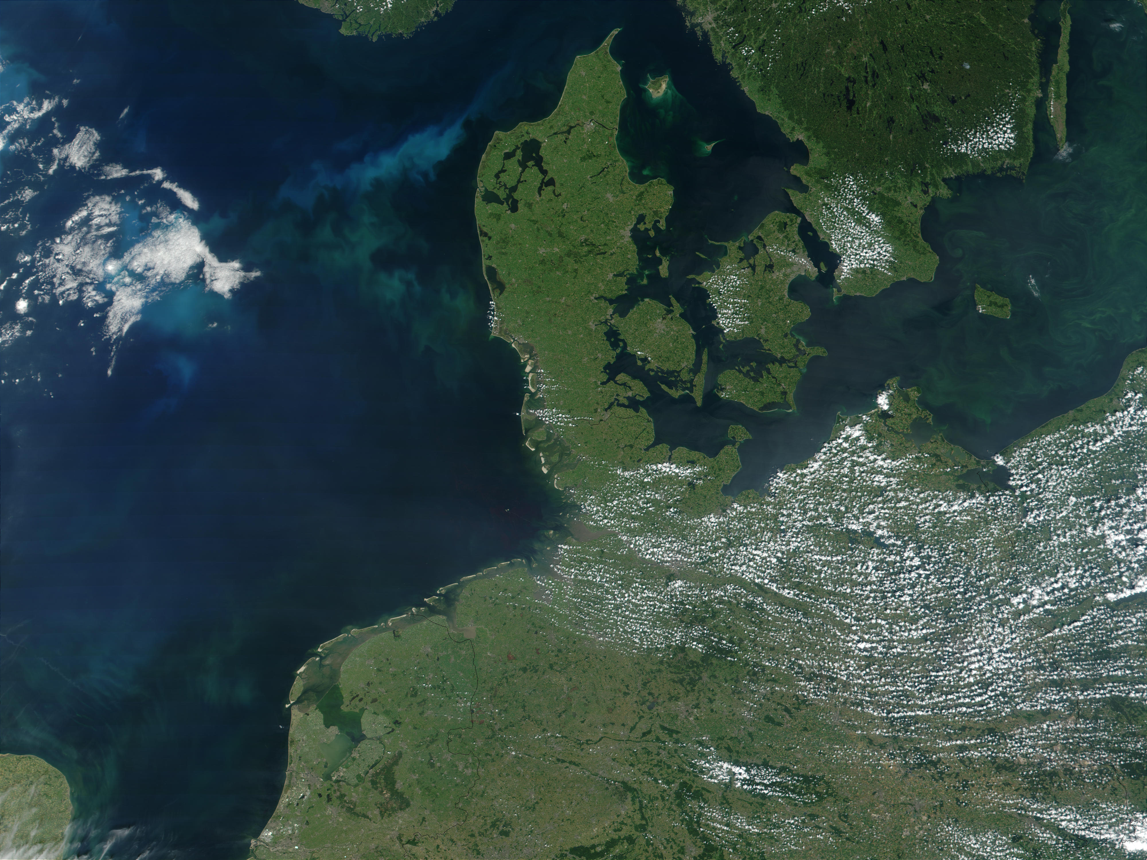 Phytoplankton bloom in North Sea and Baltic Sea - related image preview