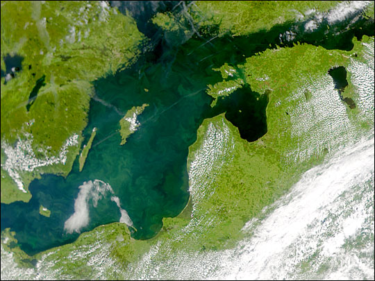 Phytoplankton bloom in the Baltic Sea - related image preview