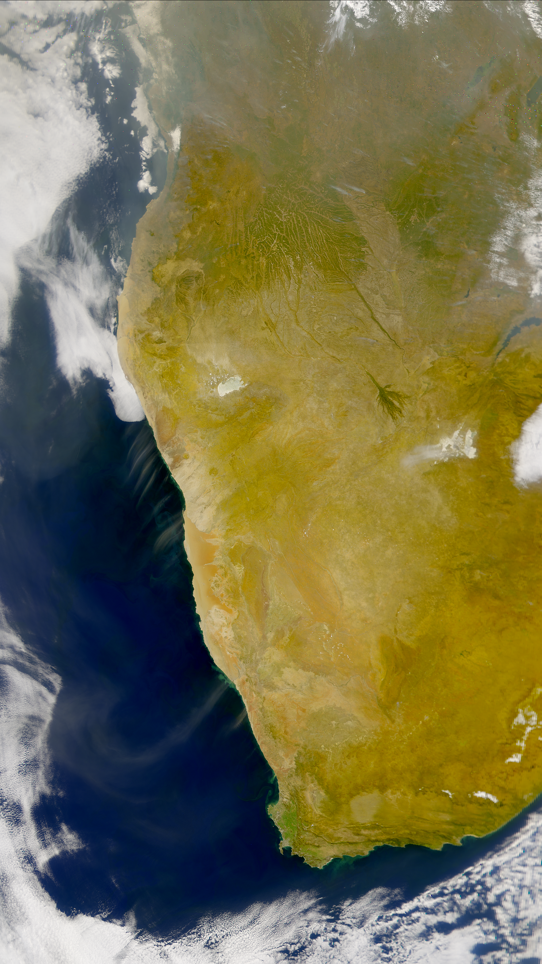 SeaWiFS: Southern African Dust - related image preview