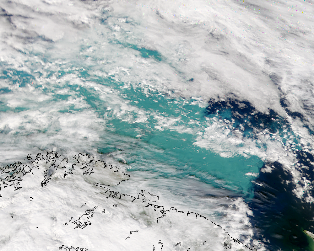 SeaWiFS: Phytoplankton Bloom in the Barents Sea - related image preview