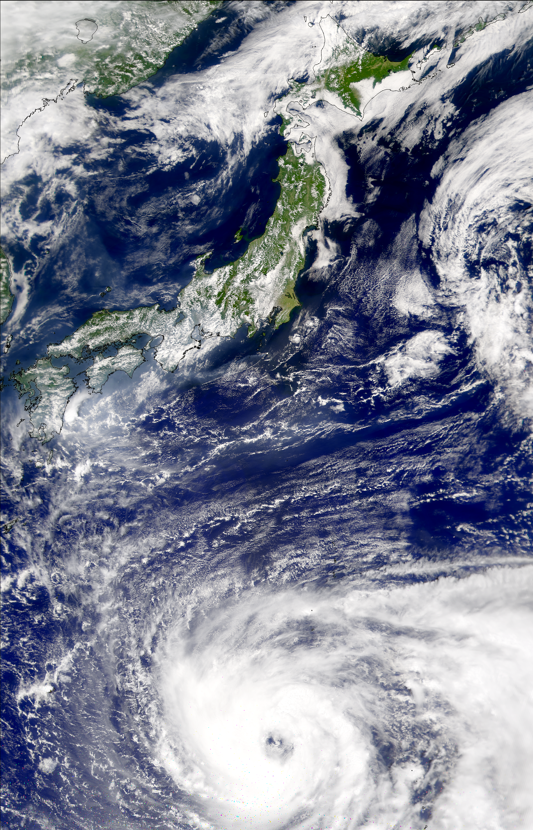 SeaWiFS: Typhoon Pabuk - related image preview