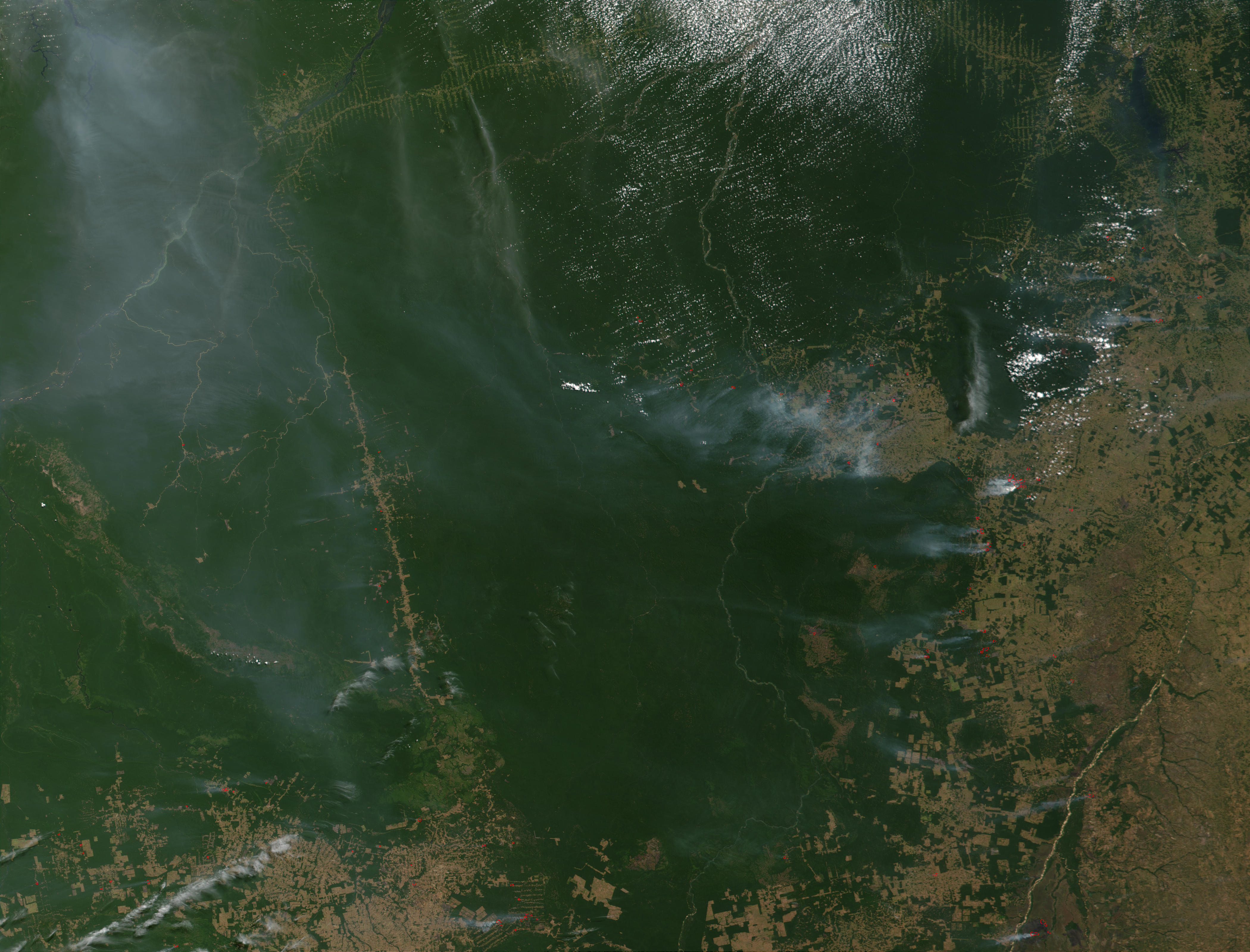 Fires and deforestation in Para state, Brazil - related image preview