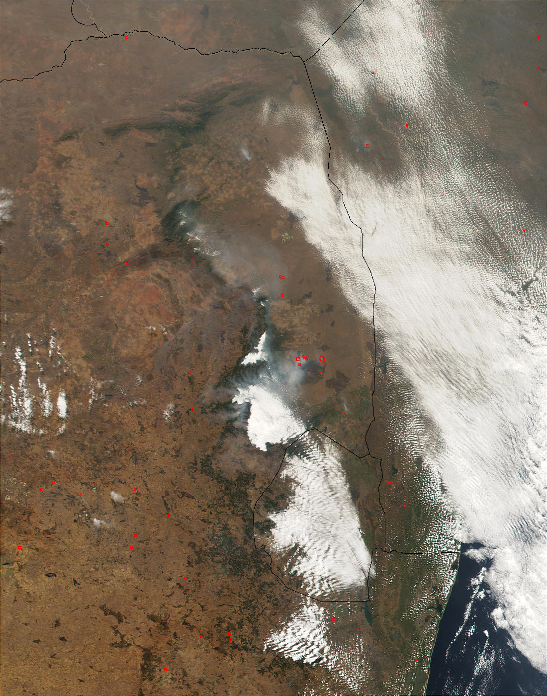 Fire in Kruger National Park near Skukuza, South Africa - related image preview