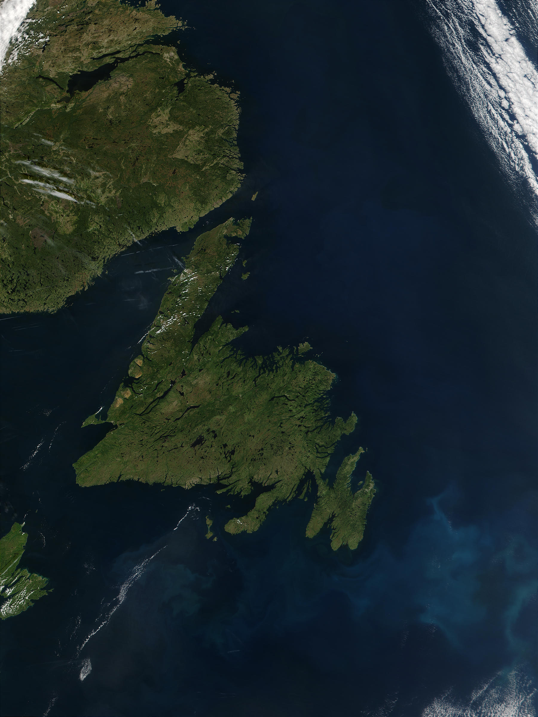 Phytoplankton bloom off the coast of Newfoundland, Canada - related image preview
