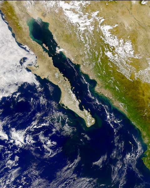 SeaWiFS: Phytoplankton Bloom in the Gulf of California - related image preview