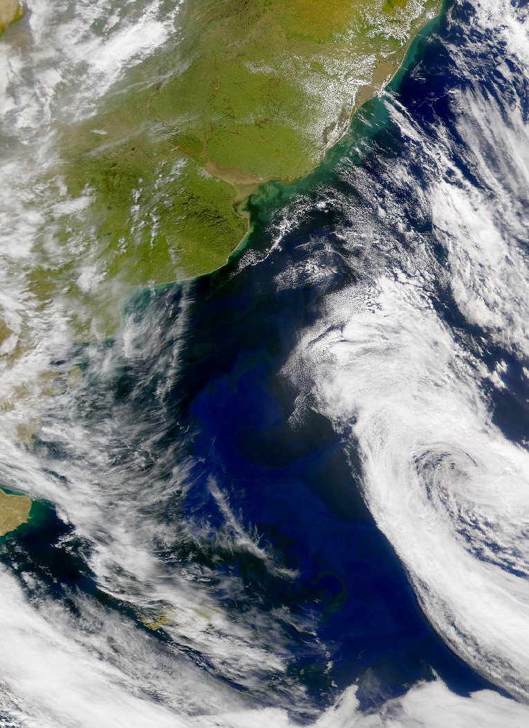 SeaWiFS: Spring Bloom in the South Atlantic - related image preview