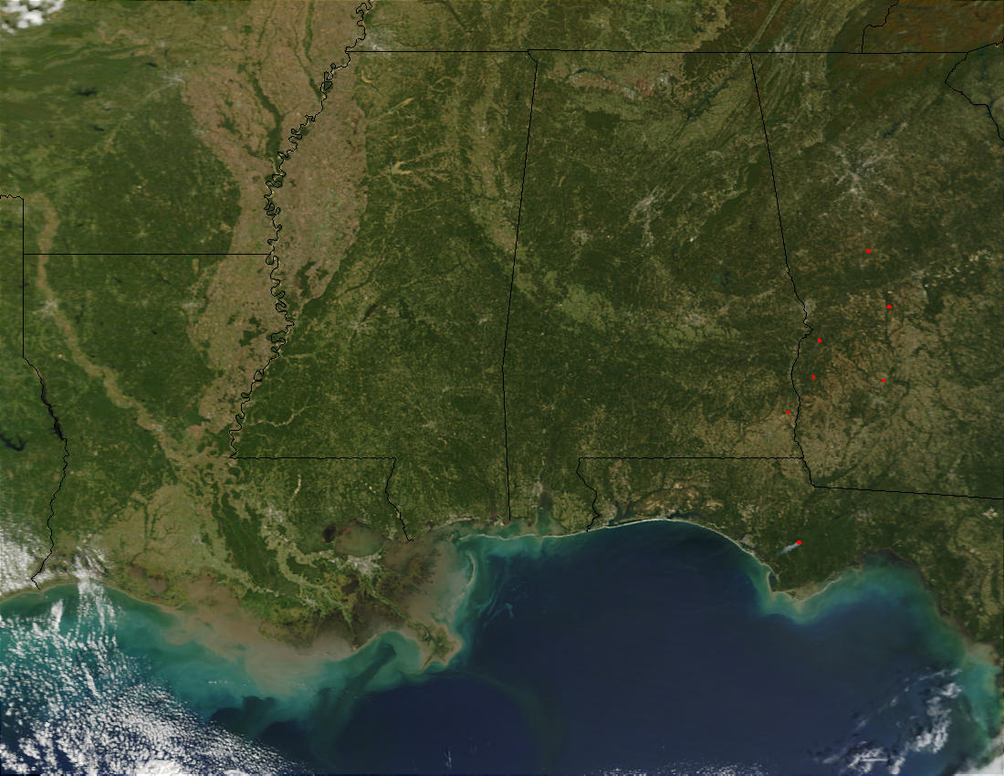 Mississippi Delta - related image preview