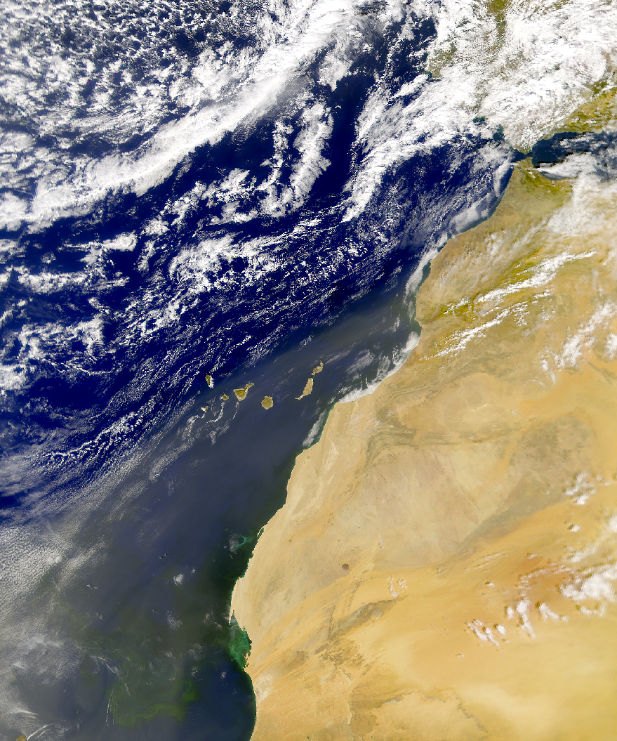 SeaWiFS: Northwest African Dust and Bloom - related image preview
