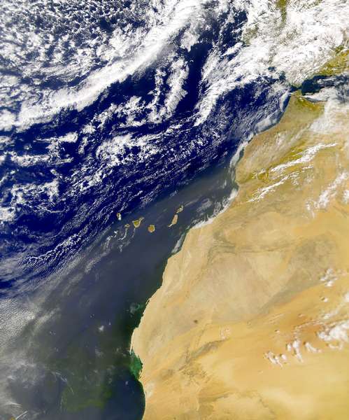 SeaWiFS: Northwest African Dust and Bloom - related image preview