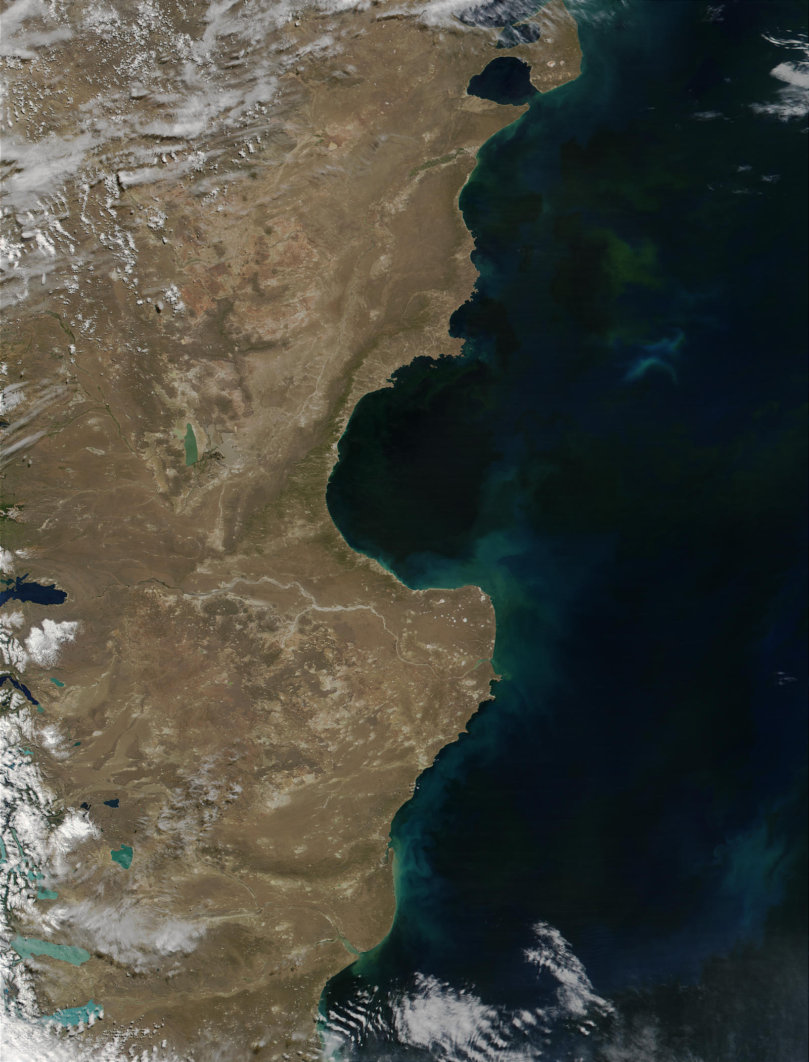 Phytoplankton bloom off the coast of Patagonia, Argentina - related image preview