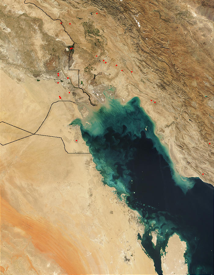 Phytoplankton bloom in Persian Gulf - related image preview