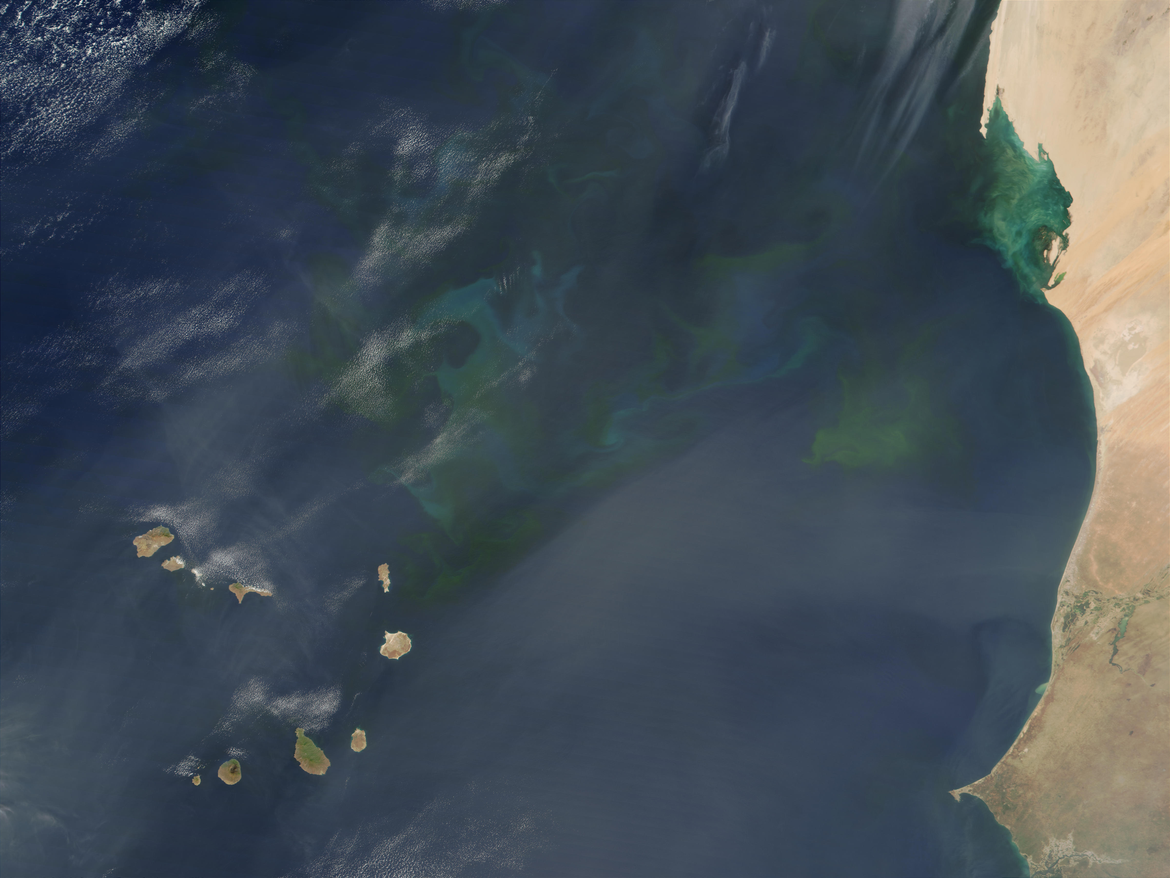 Phytoplankton bloom near Cape Verde Islands - related image preview