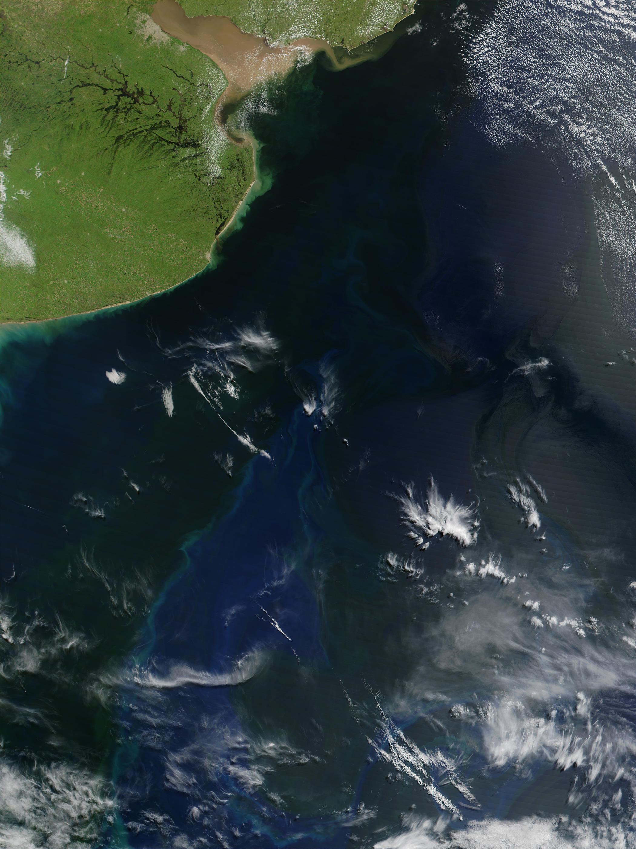 Phytoplankton bloom off the coast of Argentina - related image preview