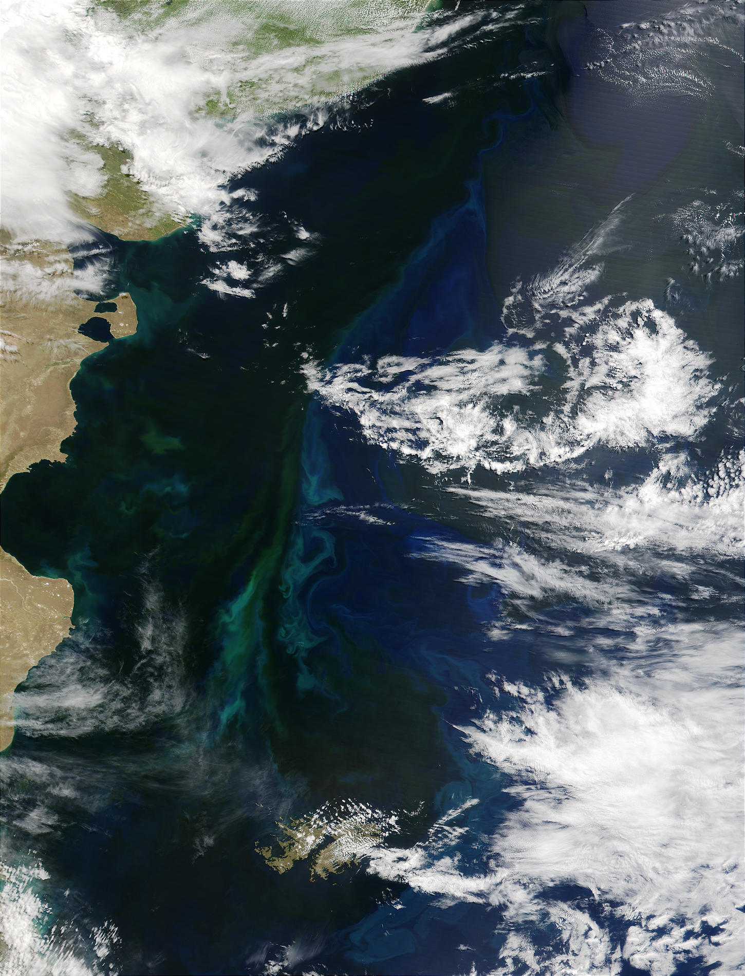Phytoplankton bloom off the coast of Argentina - related image preview