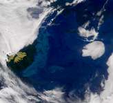 SeaWiFS: Falkland Islands - selected image