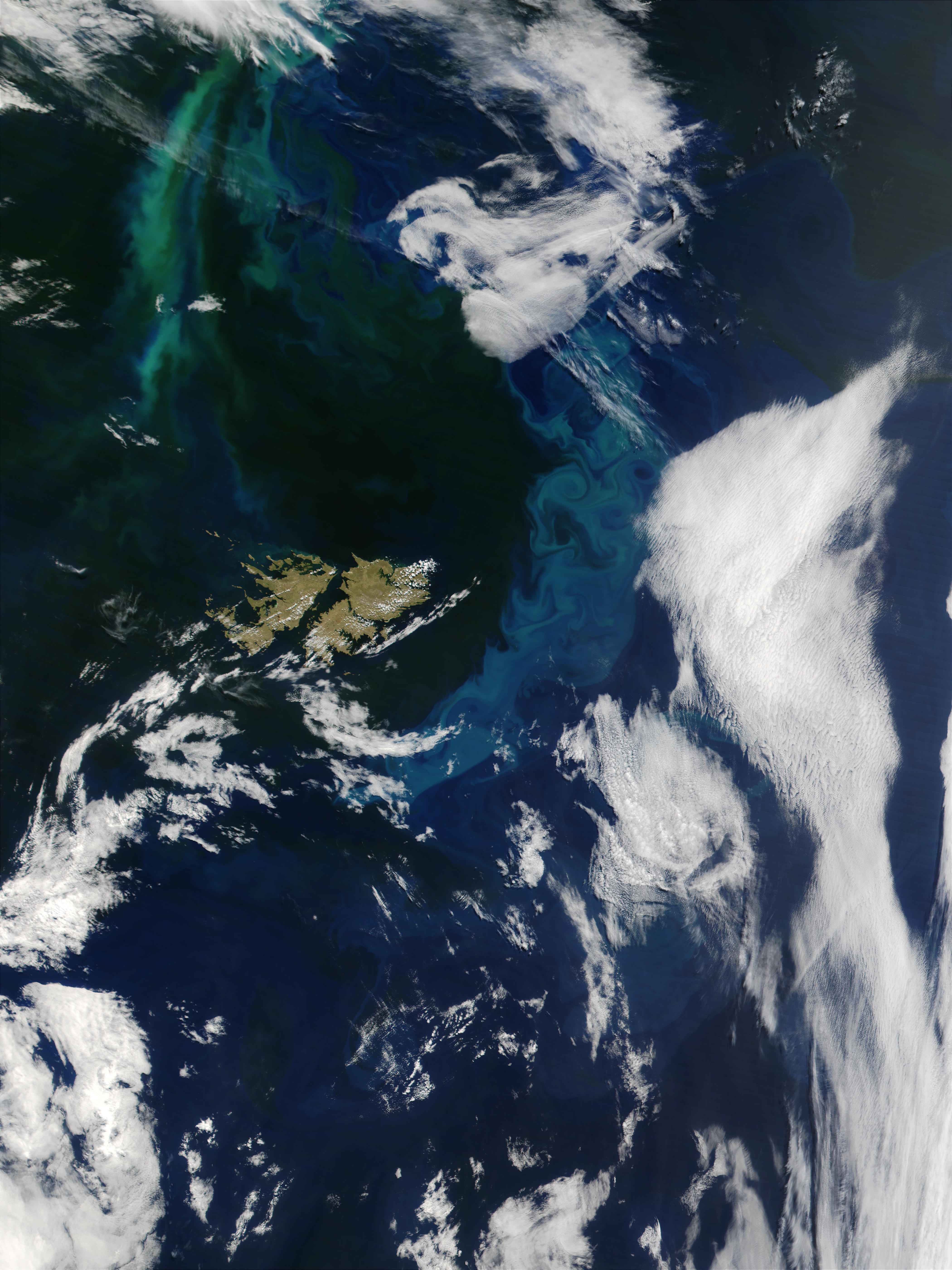 Phytoplankton bloom near Falkland Islands, South Atlantic Ocean - related image preview