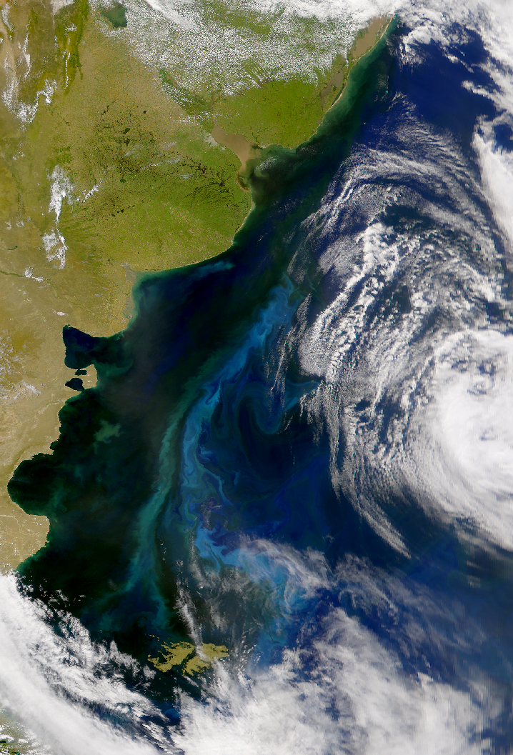 SeaWiFS: Patagonian Shelf Bloom - related image preview