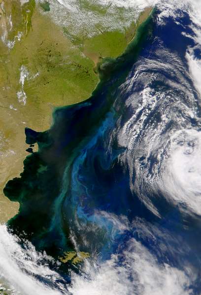 SeaWiFS: Patagonian Shelf Bloom - related image preview