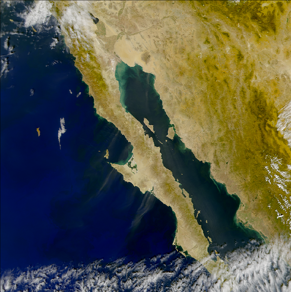 SeaWiFS: Baja Dust - related image preview
