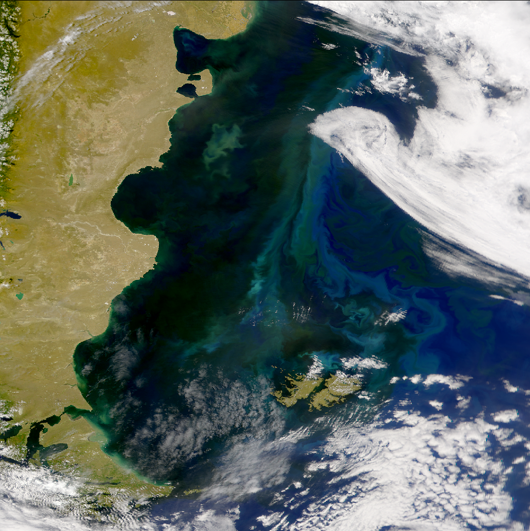 SeaWiFS: Patagonian Shelf Blooms - related image preview