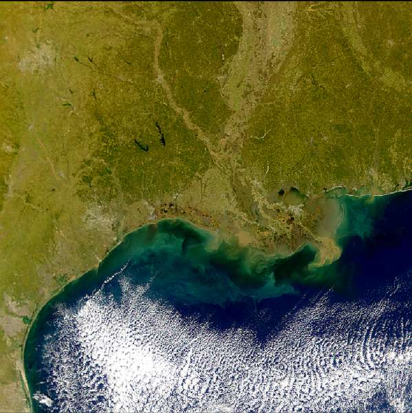 SeaWiFS: Gulf Coast Sediments - related image preview