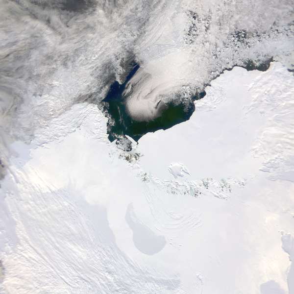 SeaWiFS: Summer in Antarctica - related image preview