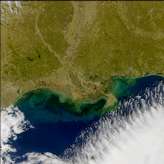 SeaWiFS: U.S. Gulf Coast Sediments - selected image