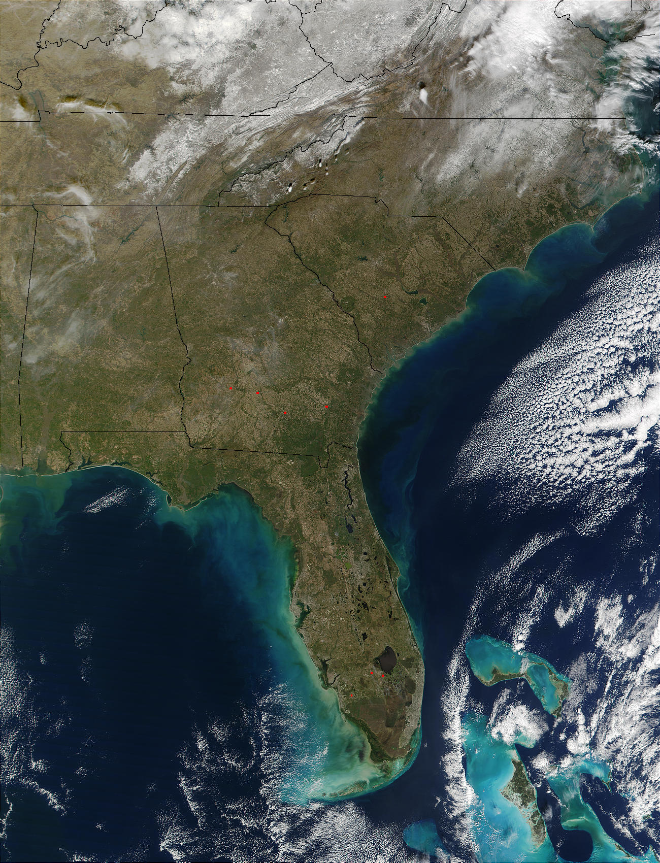 Phytoplankton bloom all along the coast of Southeast United States - related image preview