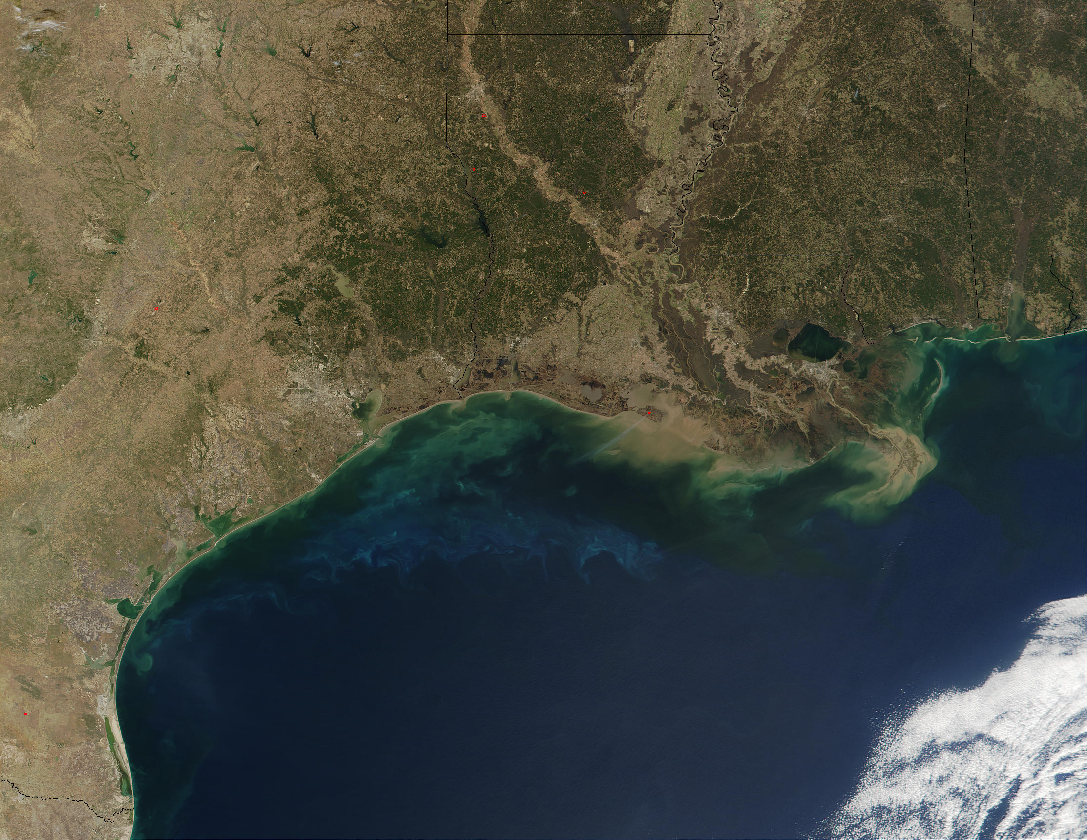 Phytoplankton and sediments in Gulf of Mexico - related image preview