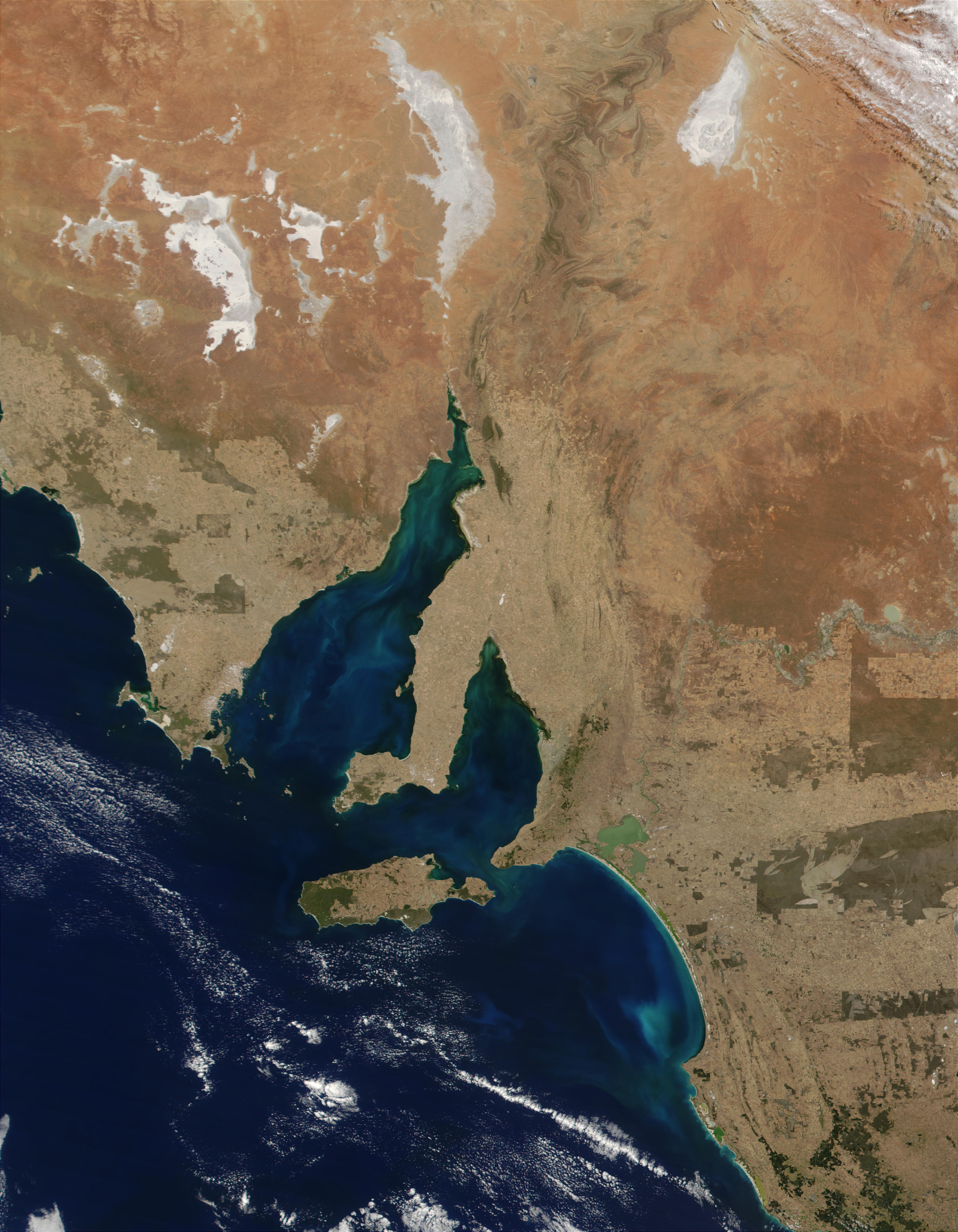Phytoplankton bloom in Spencer Gulf, Gulf St. Vincent, and Lacepede Bay, South Australia - related image preview