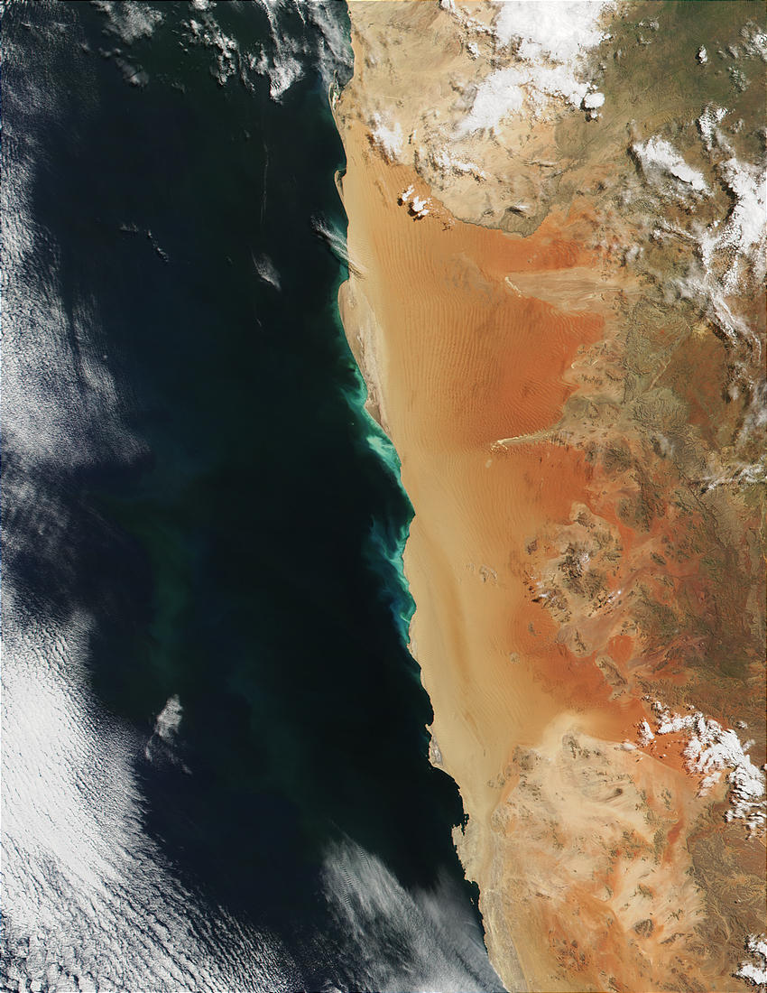 Phytoplankton bloom along the coast of Namibia - related image preview