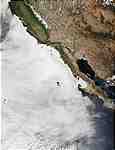 Large stratocumulus deck off the coast of Baja California - selected image