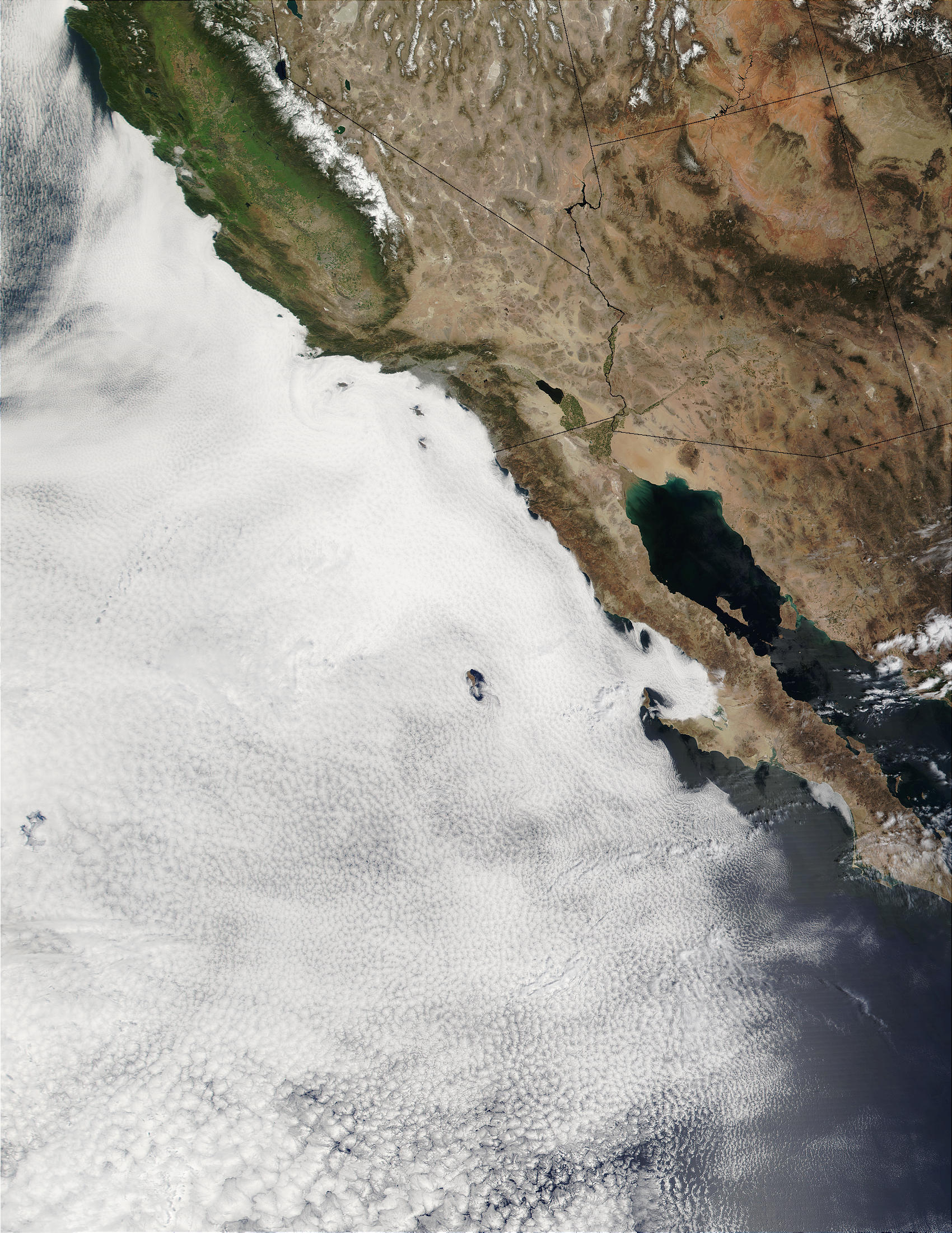 Large stratocumulus deck off the coast of Baja California - related image preview