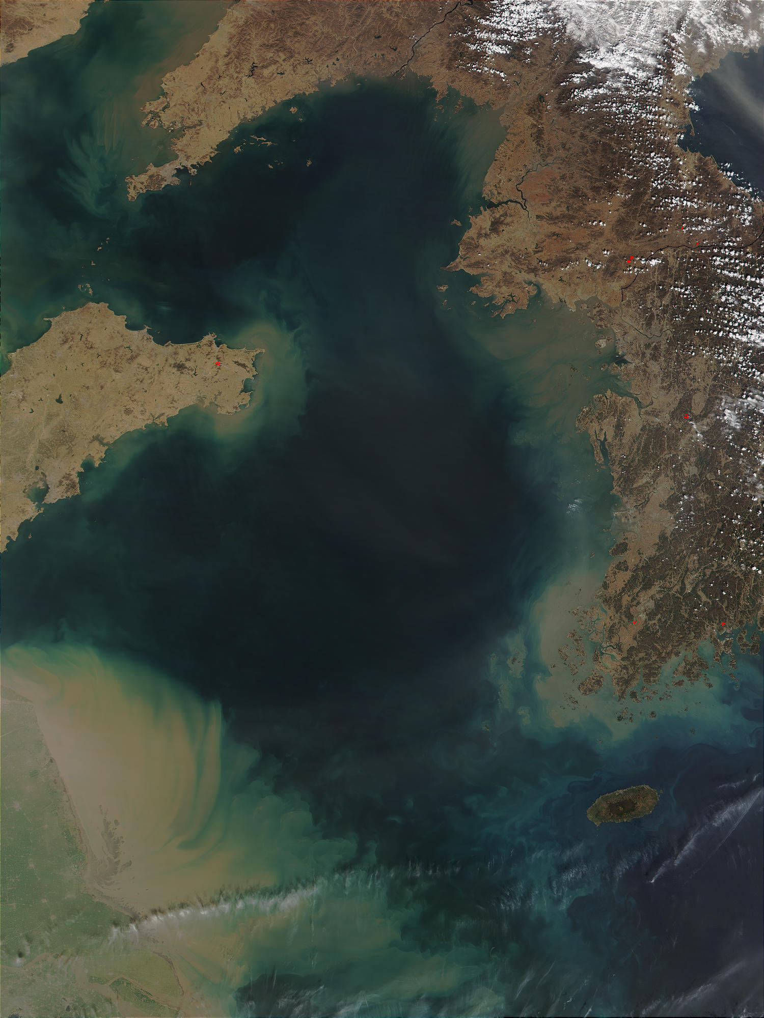 Phytoplankton and sediments in Yellow Sea - related image preview
