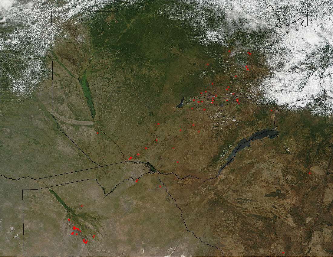 Fires in Zambia and Botswana - related image preview