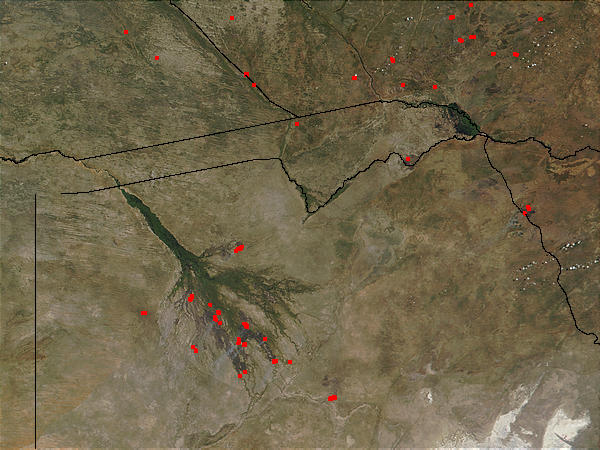Fires in the Okavango Delta (Botswana) and Zambia - related image preview