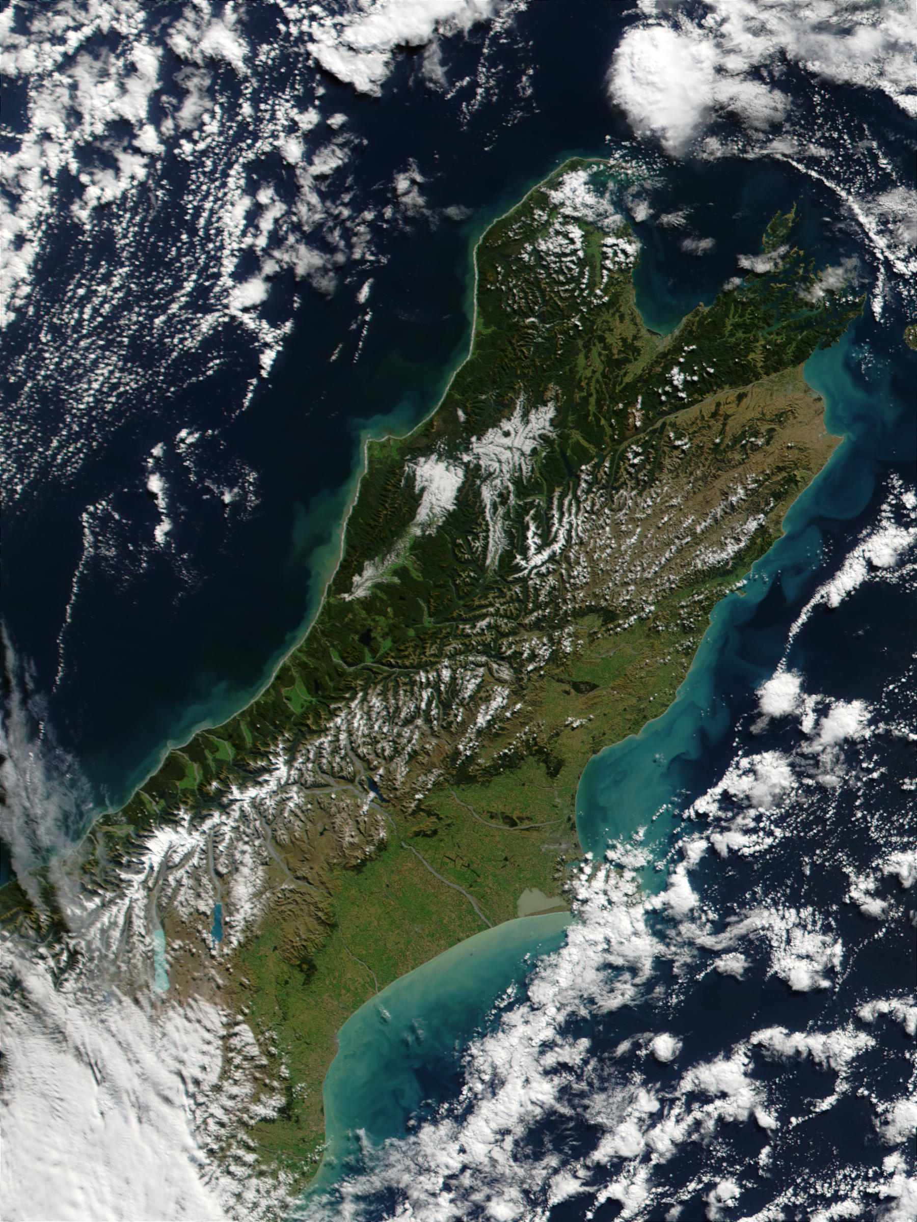 Phytoplankton bloom along the coast of New Zealand - related image preview