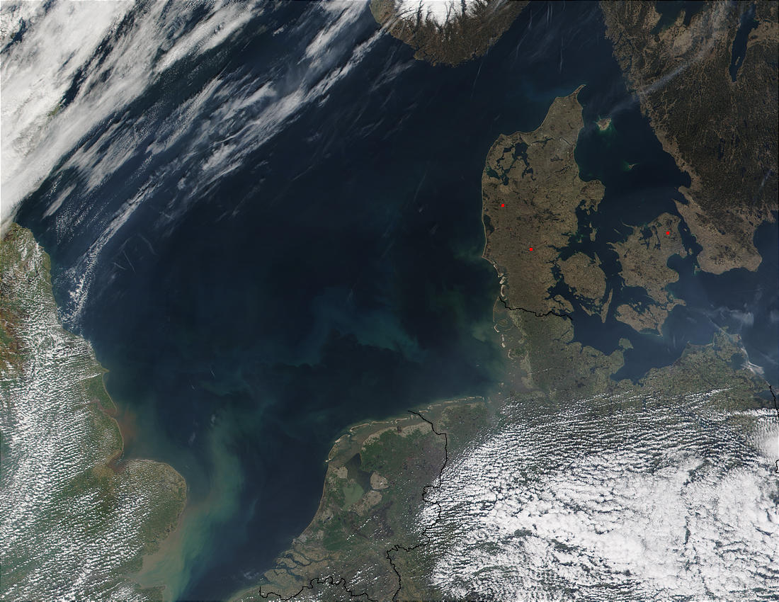 Phytoplankton bloom in the North Sea - related image preview
