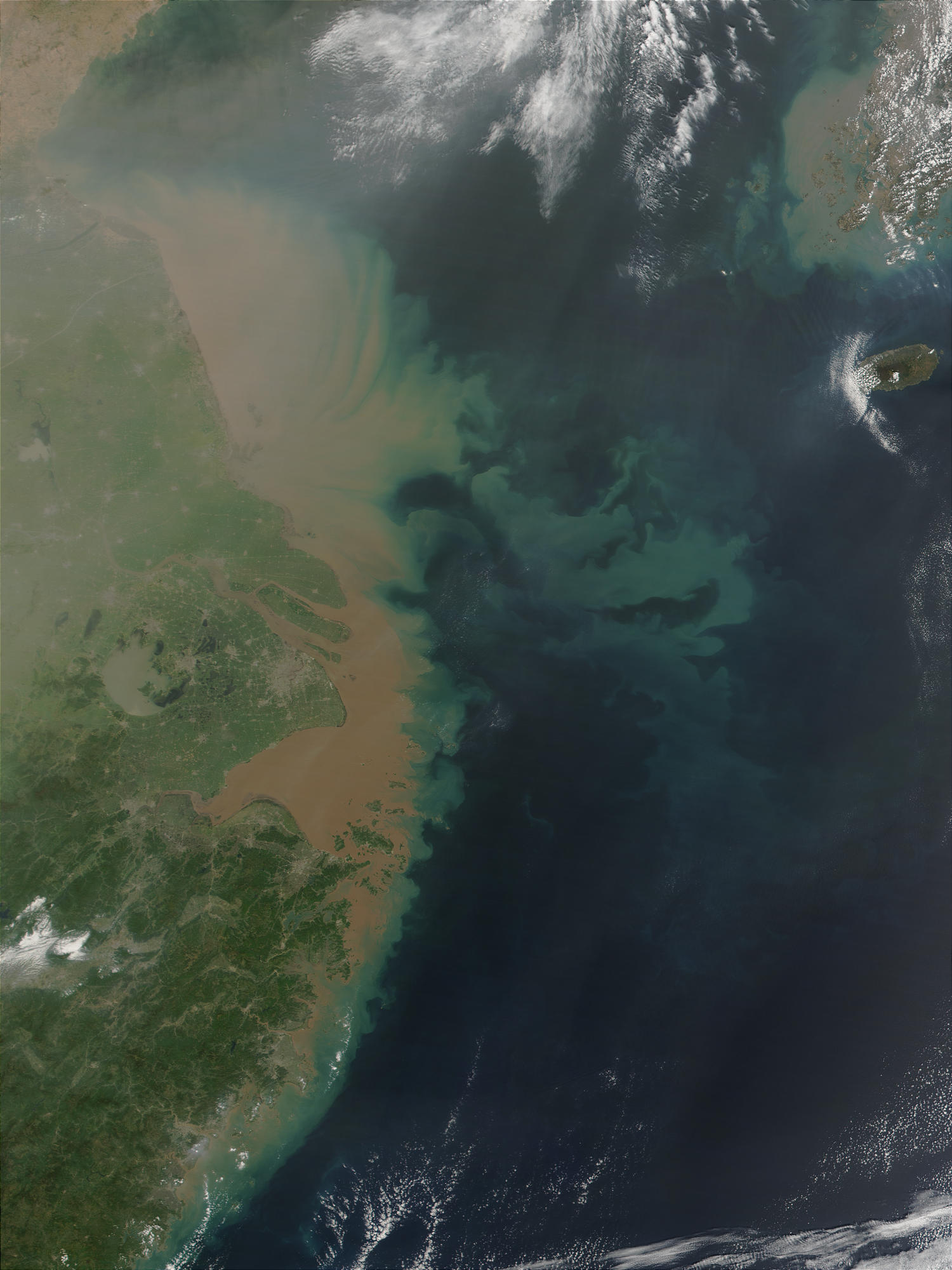 Sediments and Phytoplankton bloom near the Mouth of the Yangtze, East China Sea - related image preview